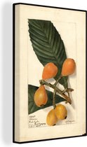 Tableau sur toile Loquat - tableau de Deborah Griscom Passmore - 120x180 cm - Décoration murale XXL