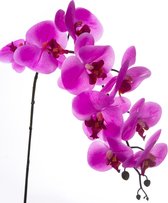 Kunstbloem - Phalaenopsis - vlinderorchidee - topkwaliteit decoratie - 2 stuks - zijden bloem - Paars - 86 cm hoog