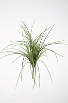 Kunsttak - gras - topkwaliteit decoratie - 2 stuks - zijden tak - Groen - 51 cm hoog