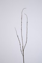 Kunsttak - twig - kleine kunsttakken - zijden kunsttak - bruin - 65 cm hoog