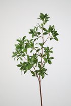 Kunsttak - Japonica - topkwaliteit decoratie - 2 stuks - zijden tak - Groen - 109 cm hoog