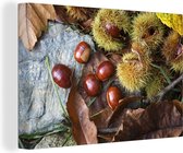 Canvas schilderij 150x100 cm - Wanddecoratie Kastanjes in de herfst zon - Muurdecoratie woonkamer - Slaapkamer decoratie - Kamer accessoires - Schilderijen