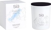 SIA geurkaars BOTANIQUE - D. 8,5 x H. 10 cm - Glas - Orchideeëngeur - Kleur: blauw