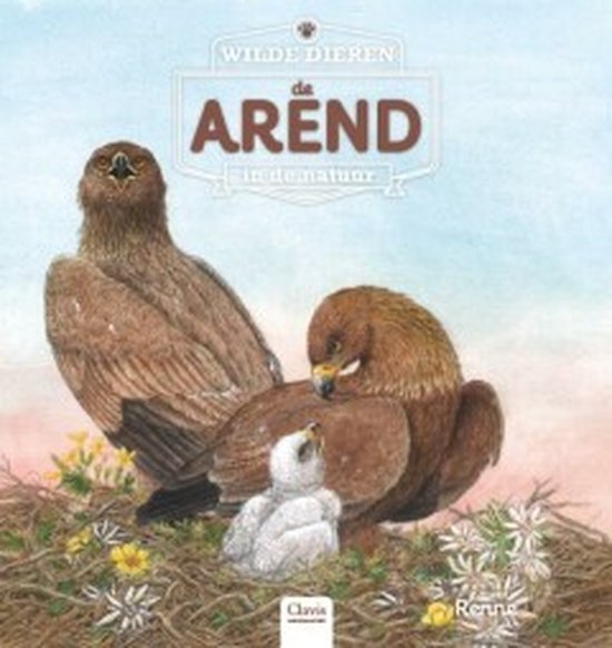 Wilde dieren in de natuur  -   De arend