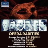 Various Artists - Opera Rarities (10 CD)