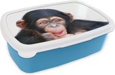 Broodtrommel Blauw - Lunchbox - Brooddoos - Close-up chimpansee aap tegen witte achtergrond - 18x12x6 cm - Kinderen - Jongen