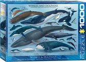 Eurographics Whales & Dolphins, 1000pcs Legpuzzel 1000 stuk(s) Fauna