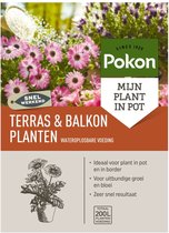 Pokon Terras & Balkon Planten Wateroplosbare Voeding 500gr