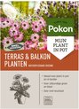 Pokon Terras & Balkon Planten Voeding - 500gr - Wateroplosbaar - Stimuleert groei en bloei