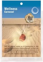 Ruben Robijn Carneool gezondheids hanger