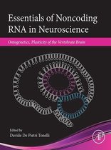 Essentials of Noncoding RNA in Neuroscience