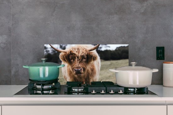 Spatscherm keuken 70x30 cm - Kookplaat achterwand Schotse hooglander - Boerderijdieren - Gras - Muurbeschermer - Spatwand fornuis - Hoogwaardig aluminium