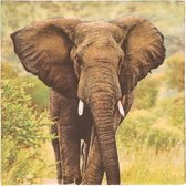 60x Safari thema servetten met olifant print 33 x 33 cm - Wilde dieren tafeldecoratie wegwerp servetjes