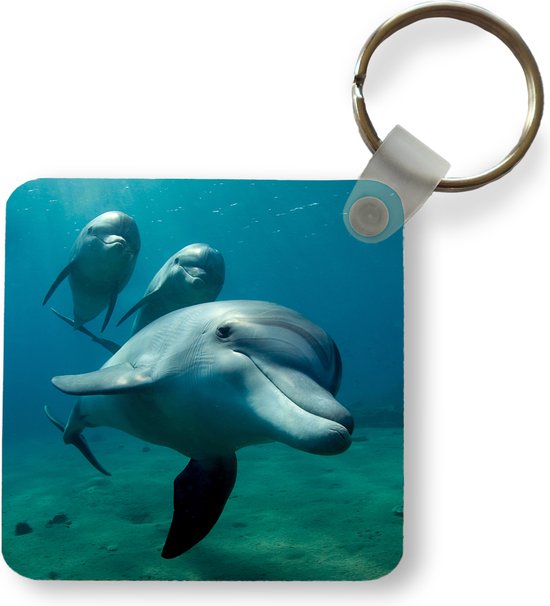 Sleutelhanger - Uitdeelcadeautjes - Water - Dolfijn - Blauw - Plastic |  bol.com