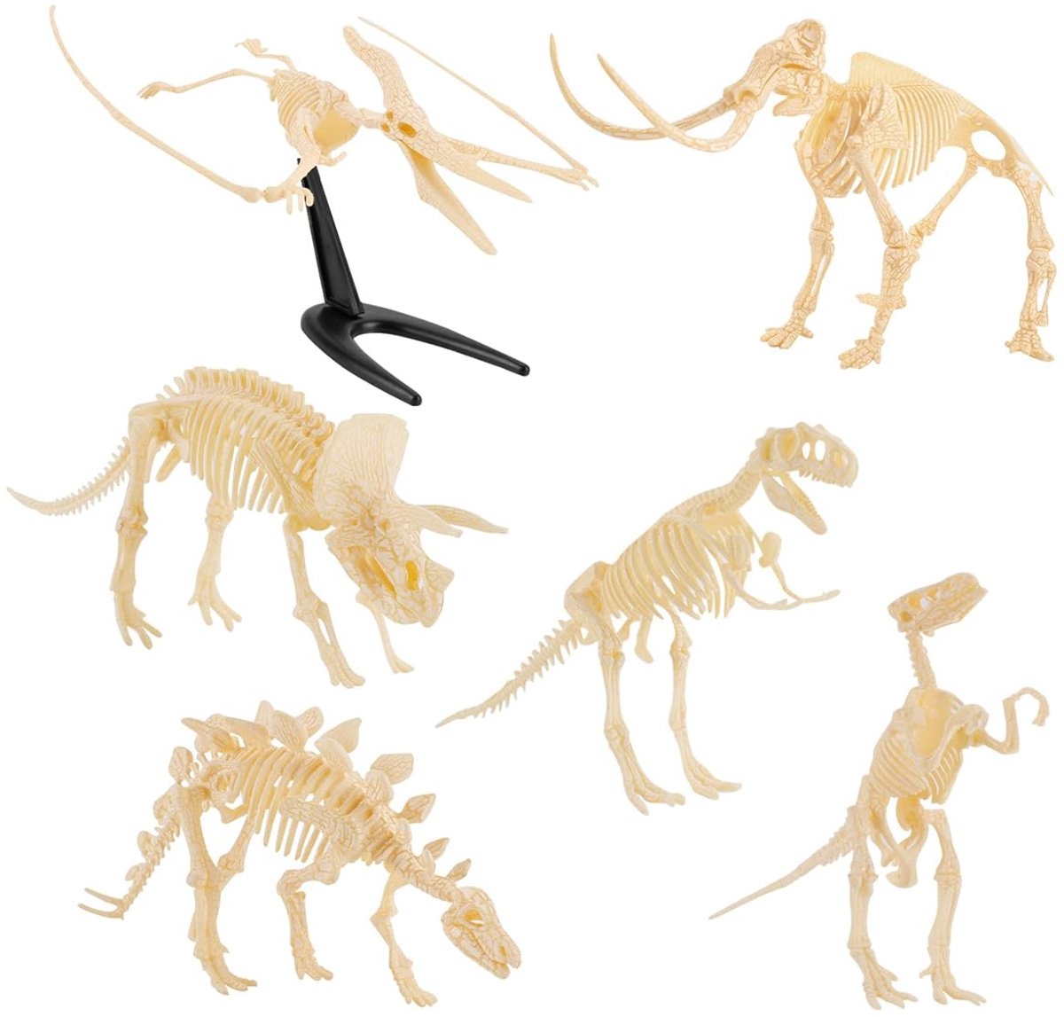 ZEYNOMAX- Dinosaurus Skelet Modellen - 6 Stuks - PVC - Decoratie - Onderwijs - Realistische Details - Perfect Cadeau - Dinosaurusmodel