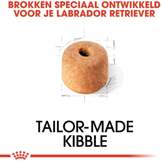 Een enkele brokje met de tekst 'BROKKEN SPECIAAL ONT ontwikkeld voor je Labrador Retriever' en 'TAILOR-MADE KIBBLE'