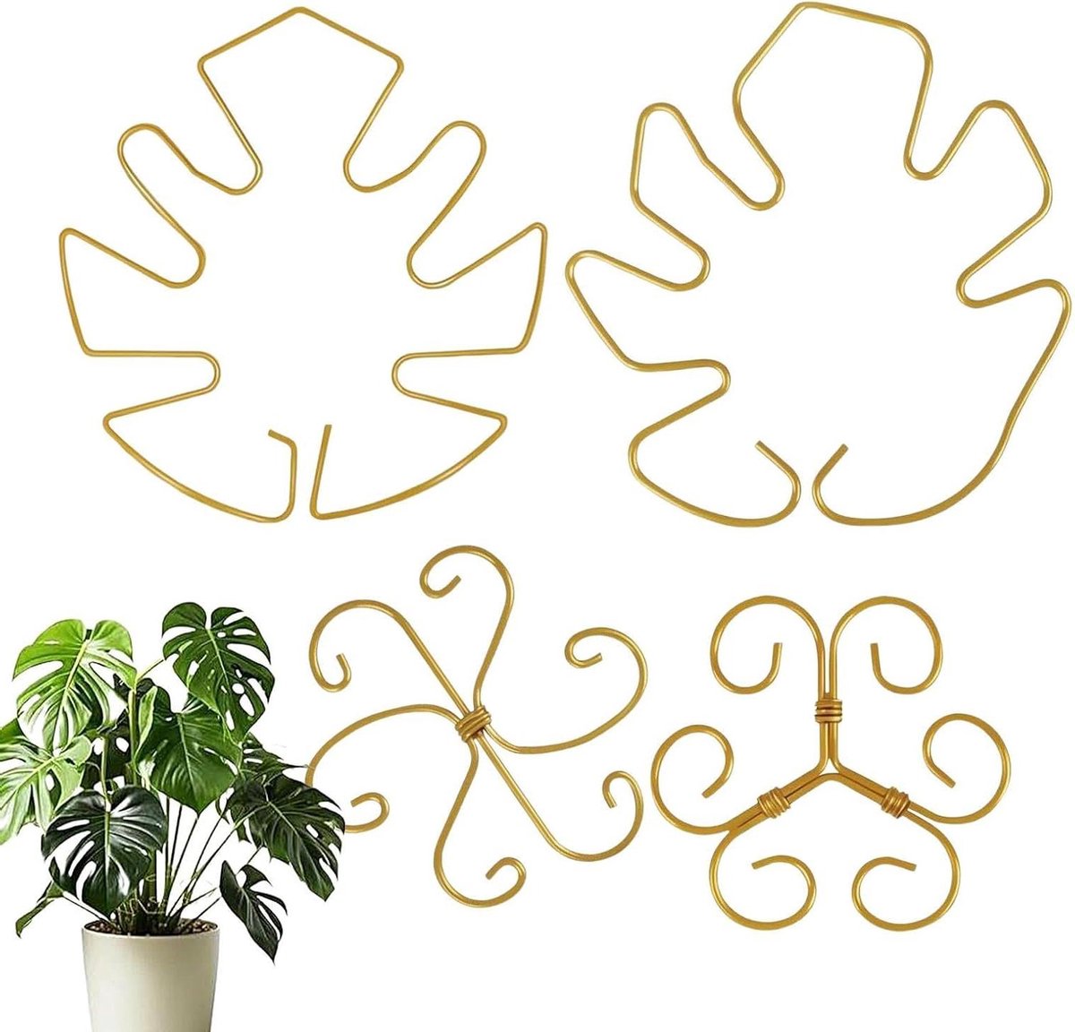 Plantstengelhouders Set - Plantensteun Stabilisator - Planten Ondersteunen - Duurzaam Metalen Ontwerp - Set van 4 - Zwart