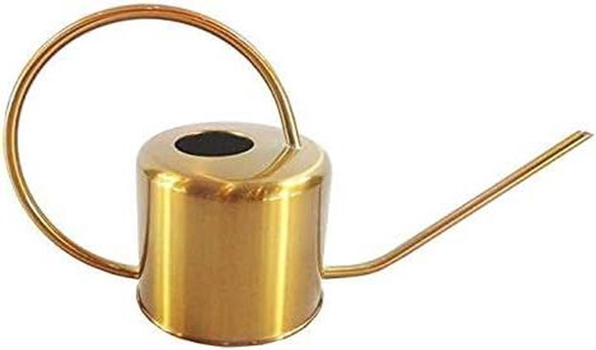 Gieter - Bloemenkan - Planten Verzorgen - Lange Hals Ontwerp - 1300 ml - Metaal