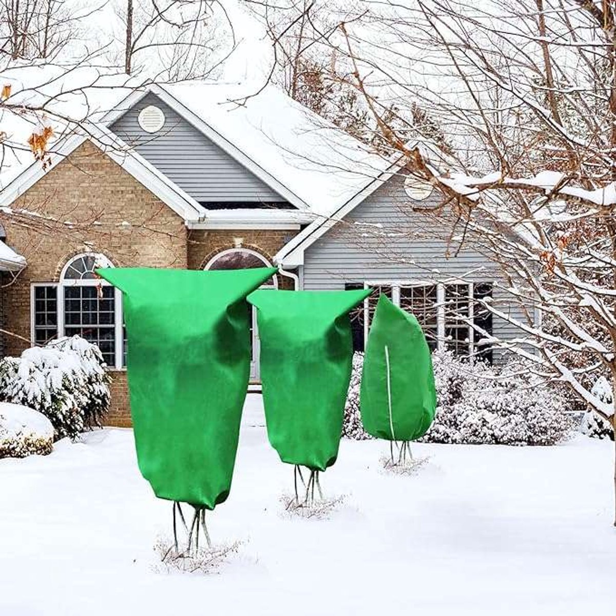 CE - Plantenbeschermhoes - Groen - 80x120 cm - 2 stuks