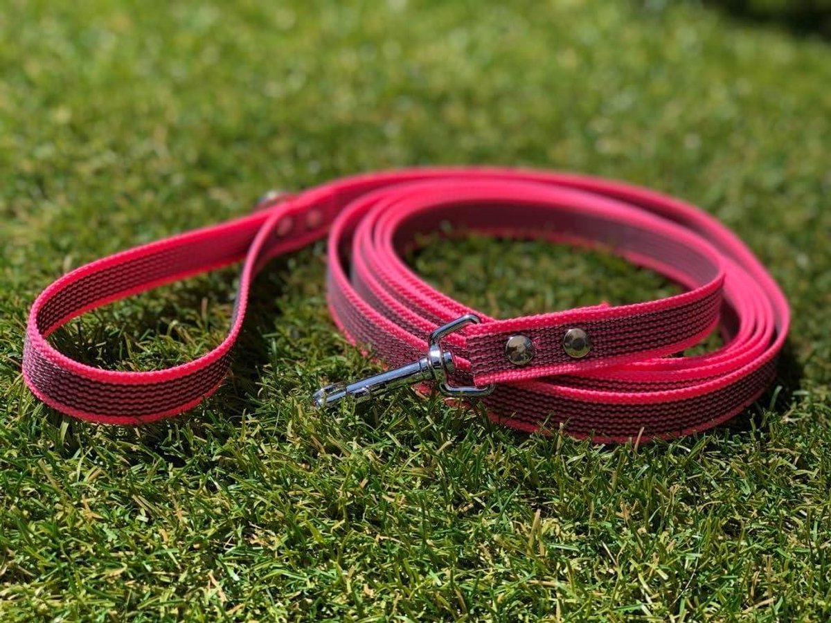 Bol.com Hondenriem 3 meter - Antislip - Vel Roze - Veilig - Grip - Comfortabel aanbieding