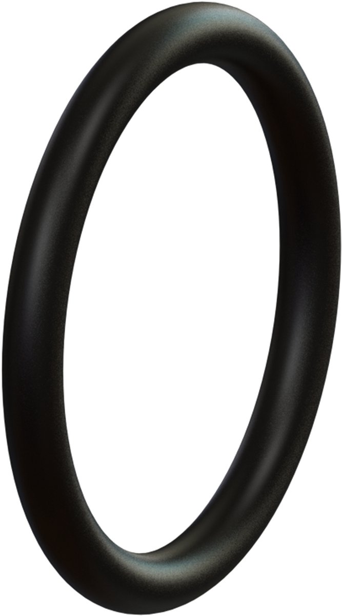 KESSEL-Afdichting - O-ring voor hevelmechanisme, 680015