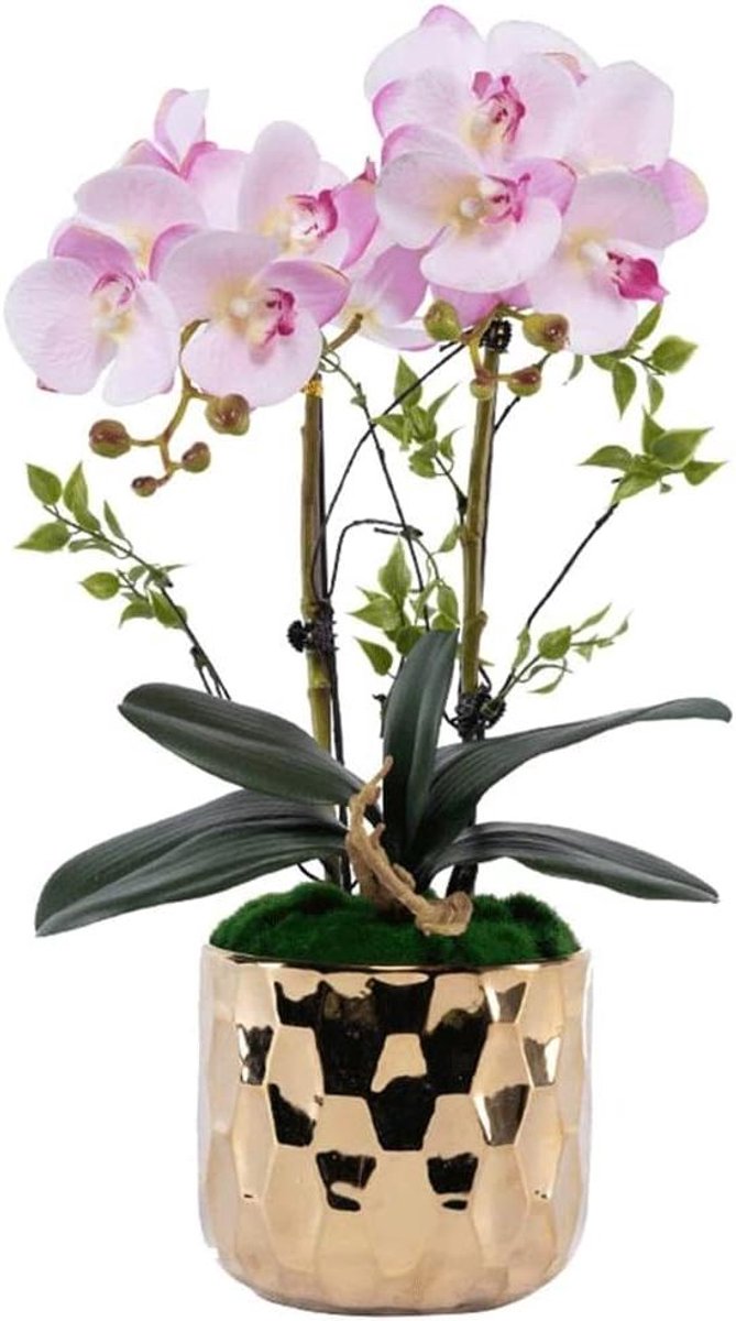 Kunstorchidee in pot - Nep bloemen - Woonkamer decoratie - Gemakkelijk te reinigen - 48 cm