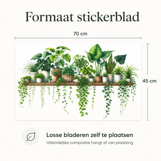 Dimensions de la feuille d'autocollants : 70 cm de large et 45 cm de haut, avec diverses plantes vertes sur une étagère.