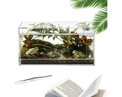 Terrarium Voor Spinnen - Acryl Transparant Ontsnappingsbestendig,Springspin Tank Hagedissenkooi,Geschikt Voor Vogelspin Gekko Hagedis Slang Voeren Kweken en Klimmen
