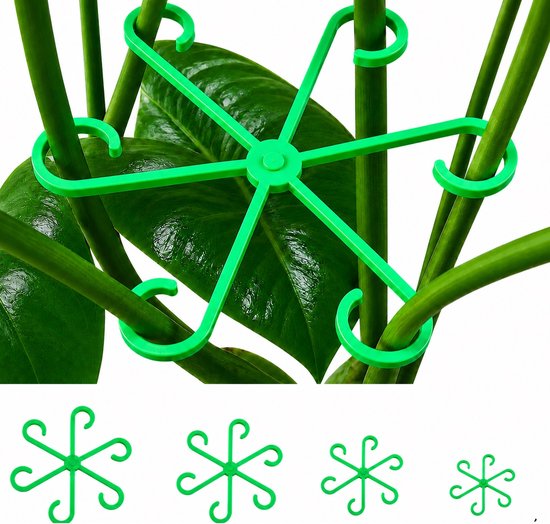 Groene plantensteun in stervorm met zes lussen, ondersteunt plantenstengels. Vier maten getoond.