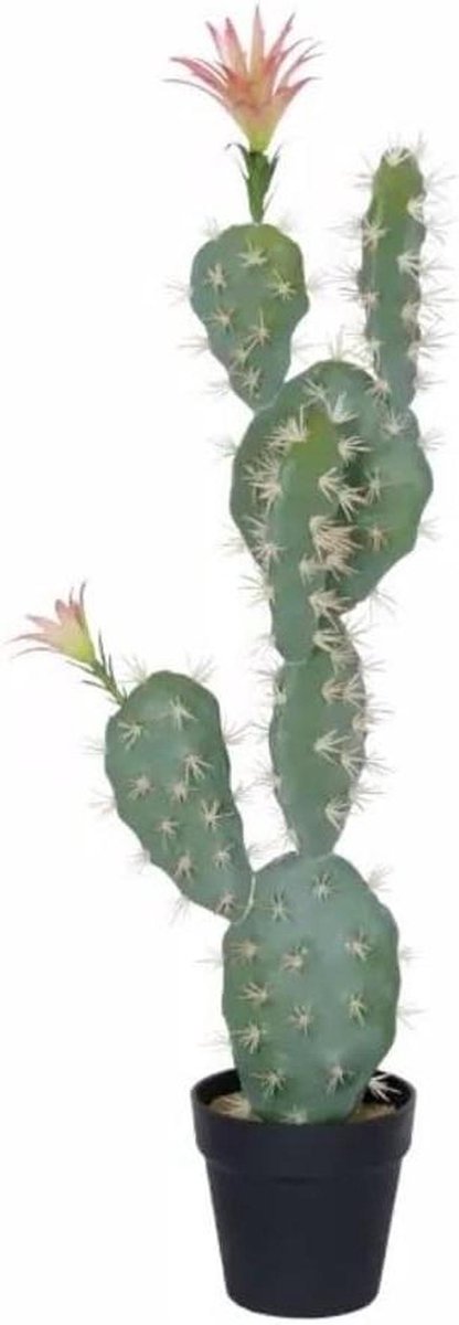 Kunstplant Cactus - Nepboom Binnen - Decoratie Huis - Realistisch Uiterlijk - 72cm Hoog - Groen