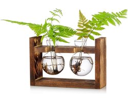 Glazen Ball Vase voor Plantengroei, Terrarium Pot met Houten Rek, Ideaal voor Interieurdecoratie en Groene Planten