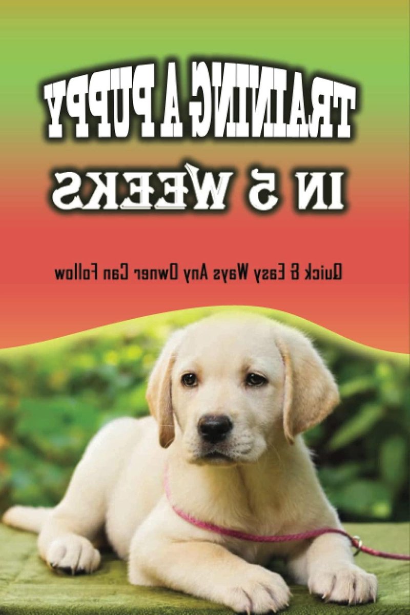 Puppy Training Boek - Hondenopvoeding Gids - Gedrag Leren - 5 Weken Plan - 45 Pagina's - N.v.t.