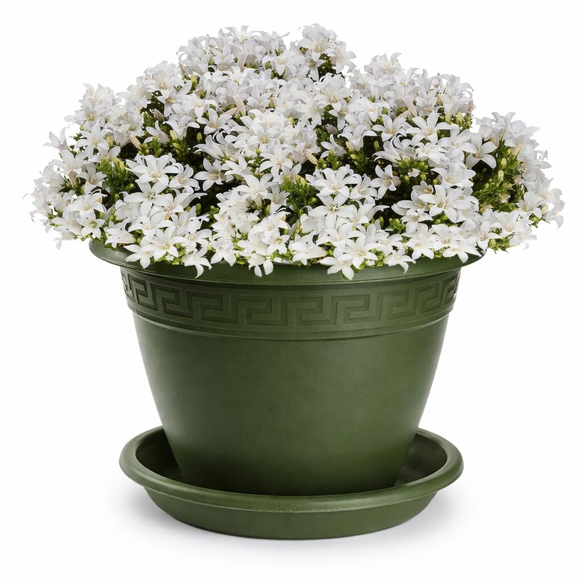 Plasticforte plantenpot met opvang schaal - donkergroen - rond - D20 x H15 cm - kunststof - buiten - tuin - bloempot