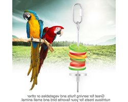 Voederhouder voor vogels van roestvrij staal, hangende groentespies voor kleine dieren en vogels, ideaal als speeltje