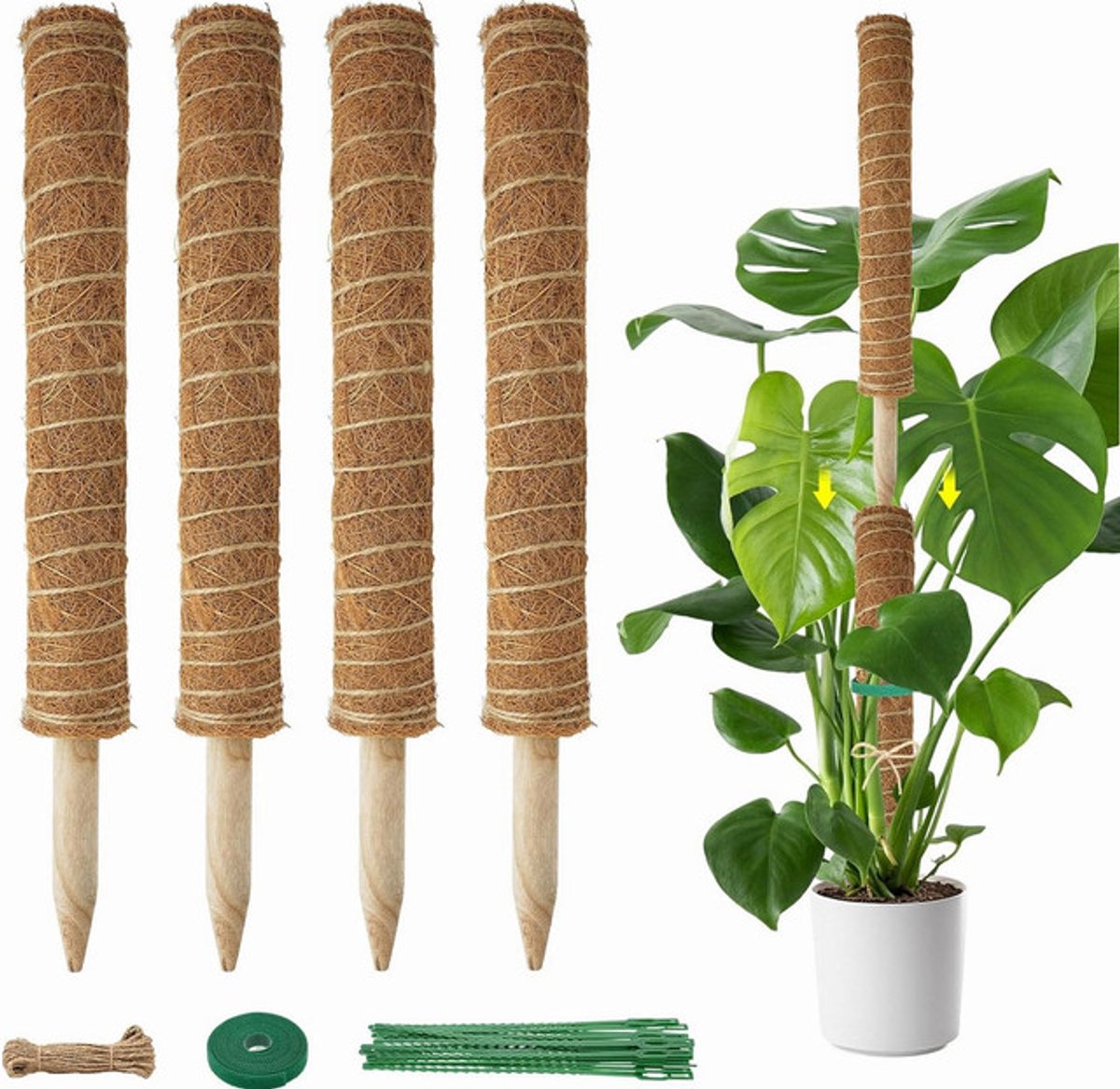Sierra, Klikhulp, uitbreidbare plantenklimhulp voor Sierra, 4 stuks, 42 cm, verlengbaar, tot 133 cm, kokosstaaf, plant, mosstaaf, plantenstaaf, ondersteuning, klimhulp, kamerplanten