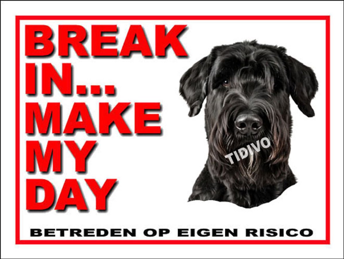 Riesenschnauzer 1