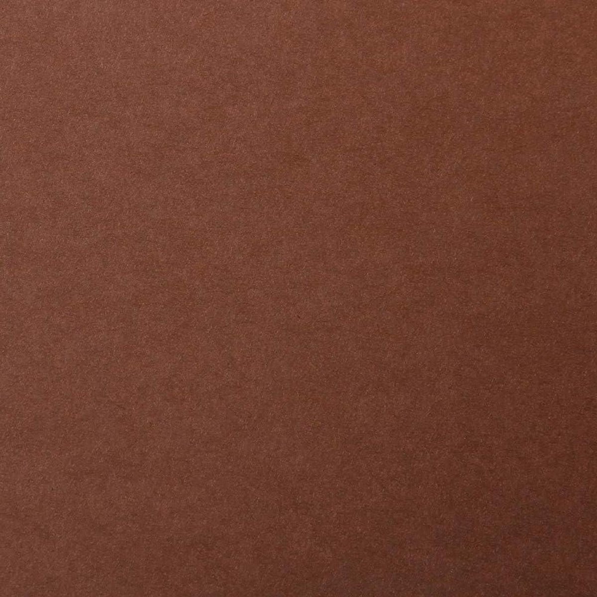 Clairefontaine 47961C Pakket Maya Papier - 25 Vellen Glad Bruin Tekenpapier - 70x100 cm 270g - Ideaal voor Tekenen en Creatieve Activiteiten