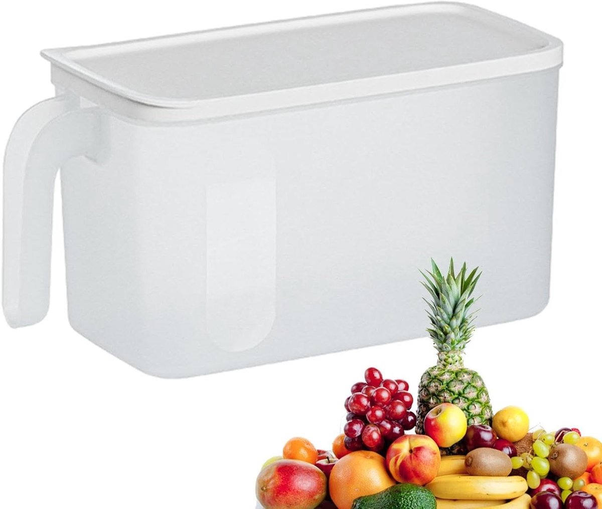 Koelkast Doos - IJs Bak - Voedsel Opslag - Met Deksel Handvat - 21 x 17 x 124 cm