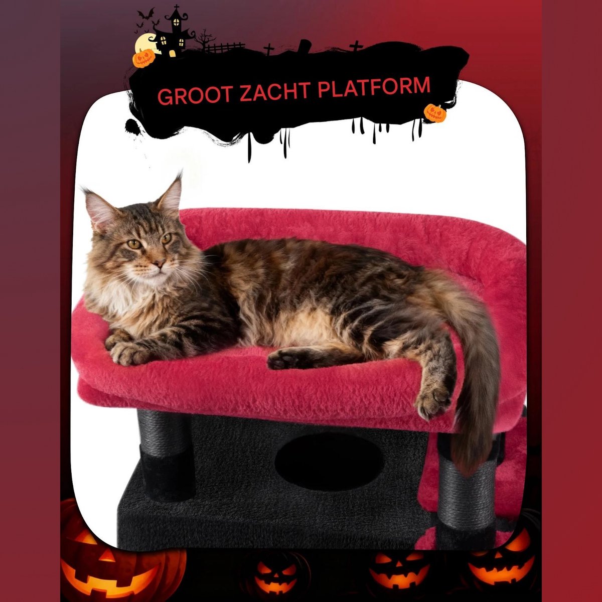 Happiq Kattenboom - Voor Binnengebruik en Maine Coon thumbnail 5