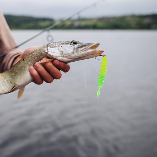 Visaas 35 Stuks - Rubber Vissen Aas Set voor Forel, Baars en Snoek - Jigkoppen en Visspullen voor Meren en Vijvers — afbeelding 5