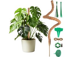 Thijox - Monstera Klimhulp 120 cm - Flexibele Mosstaaf van Kokosvezel met Accessoires en Plantensteun voor Klimplanten Binnenshuis - Ideaal voor Monst