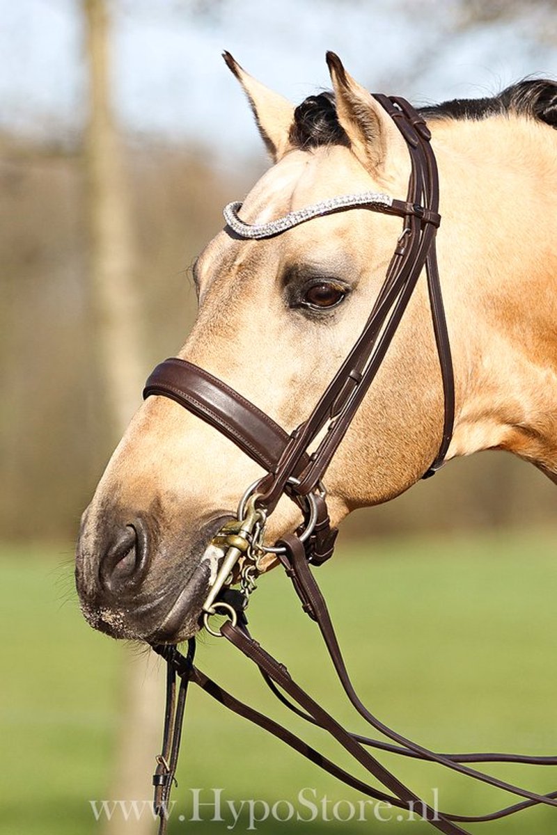 Premiera Verona bruin anatomisch hoofdstel - Full