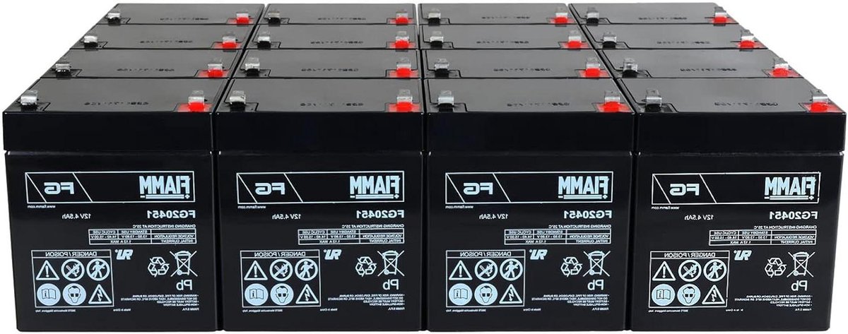 Vervangende Batterij - Accu Opladen - Noodstroom Toepassing - Onderhoudsvrij Ontwerp - 12V 4.5Ah - Zwart