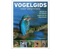 Vogelgids voor beginners