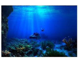 Store_8 - Aquarium Achtergrond Lijm - Decoratieve Sticker - PVC Waterdicht - Achtergrond Aquarium Decoratie - Geschikt voor 61 x 30 cm