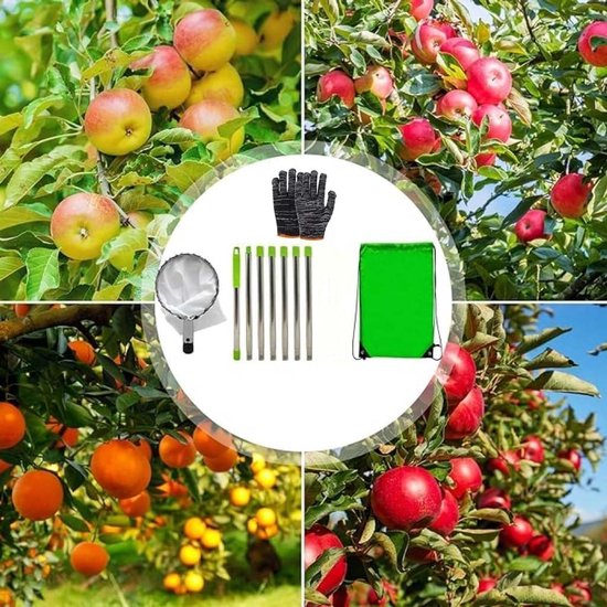 300 cm Telescoop Fruitplukker voor het Plukken van Diverse Fruitsoorten — afbeelding 3