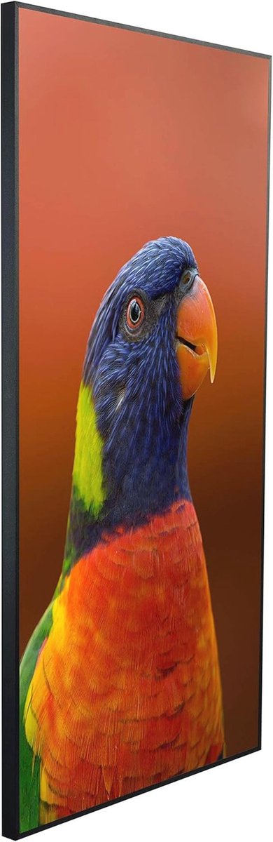 Infraroodstraler - Wandpaneel Verwarming - Gerichte Warmte - Stofvrij & Geluidloos - 60x100cm - Afbeelding