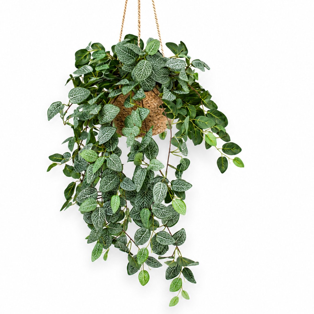 HTT Decorations Kunstplant Pilea in hangmand naturel L140cm Groen