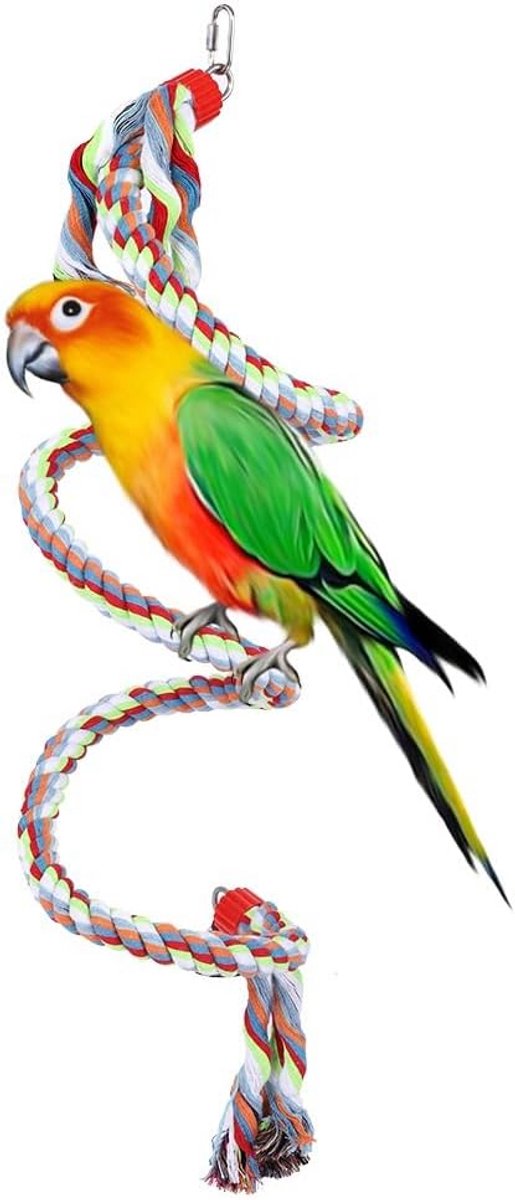 Vogel Klimtouw - Papegaai Schommel - Vogels Trainen - Verstelbaar Spiraalontwerp - 1.6 Meter - Multicolor