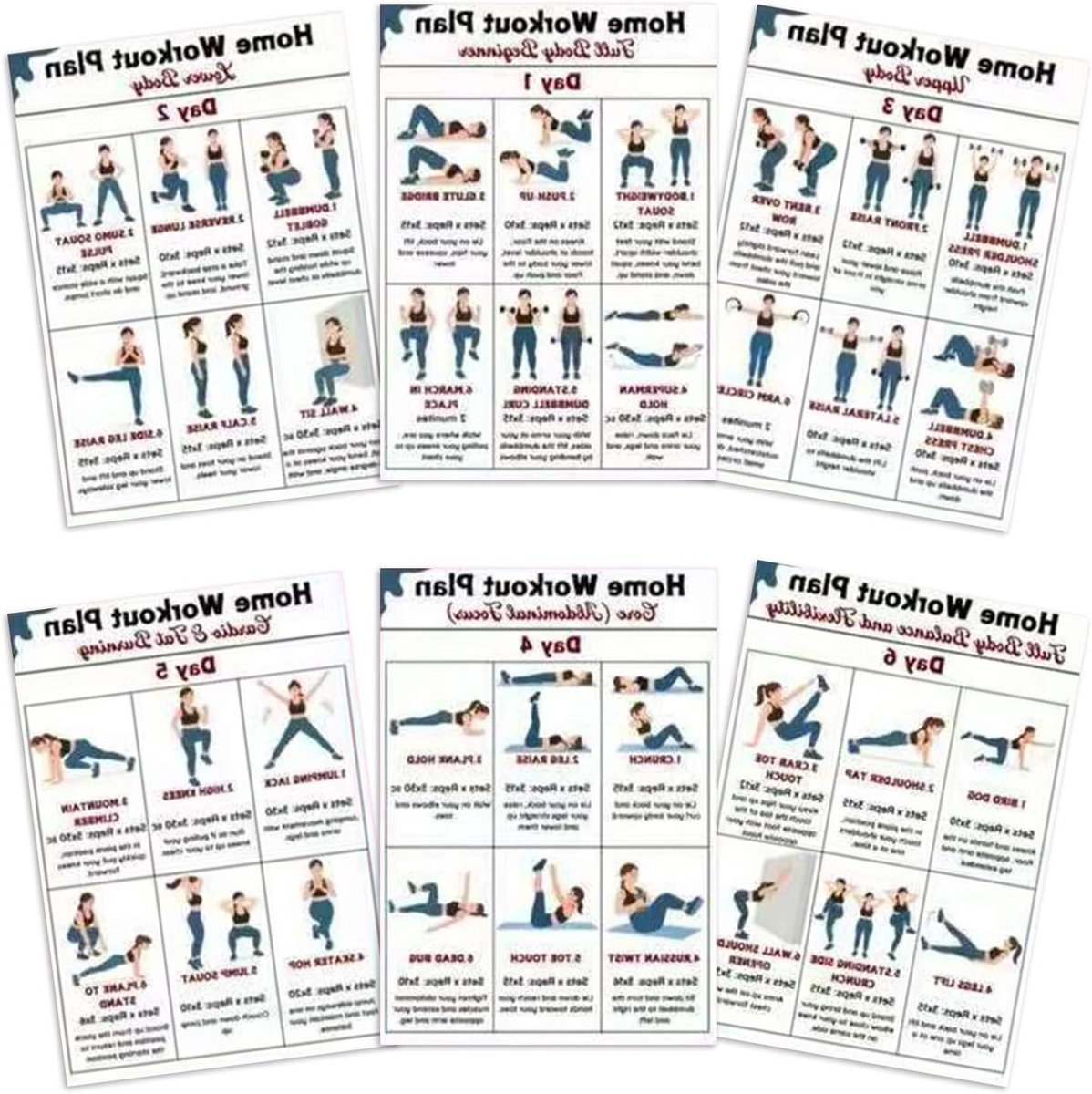 Trainingsposter Set - Fitness Gids - Thuis Sporten - Visuele Spier Mapping - 10 x 8 Inch - Meerdere Kleuren